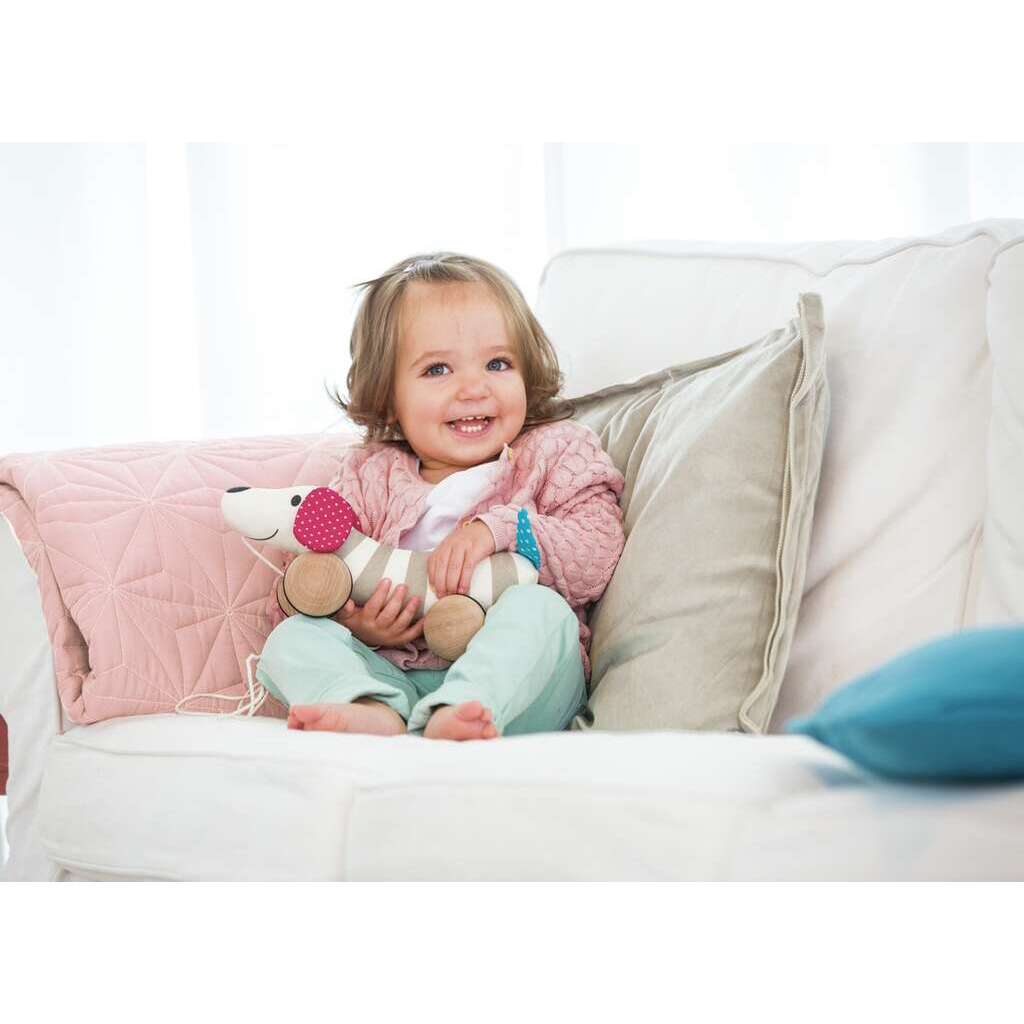 Wobble Dog Wobble Dog