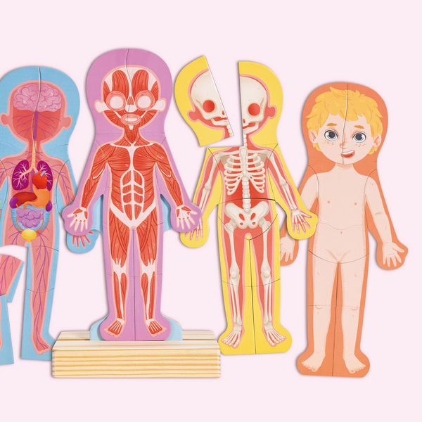 Human Body Magnetic Puzzle