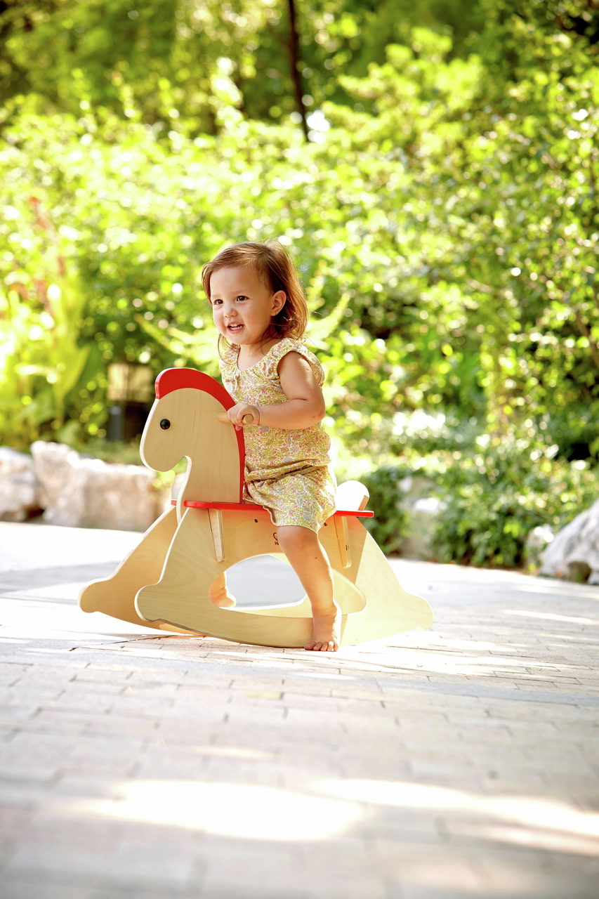 Rock and Ride Rocking Horse