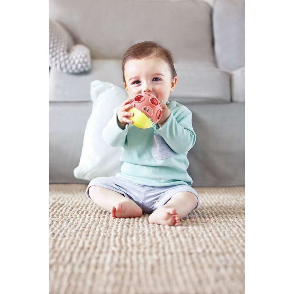 Busy Bug Roll Busy Bug Roll