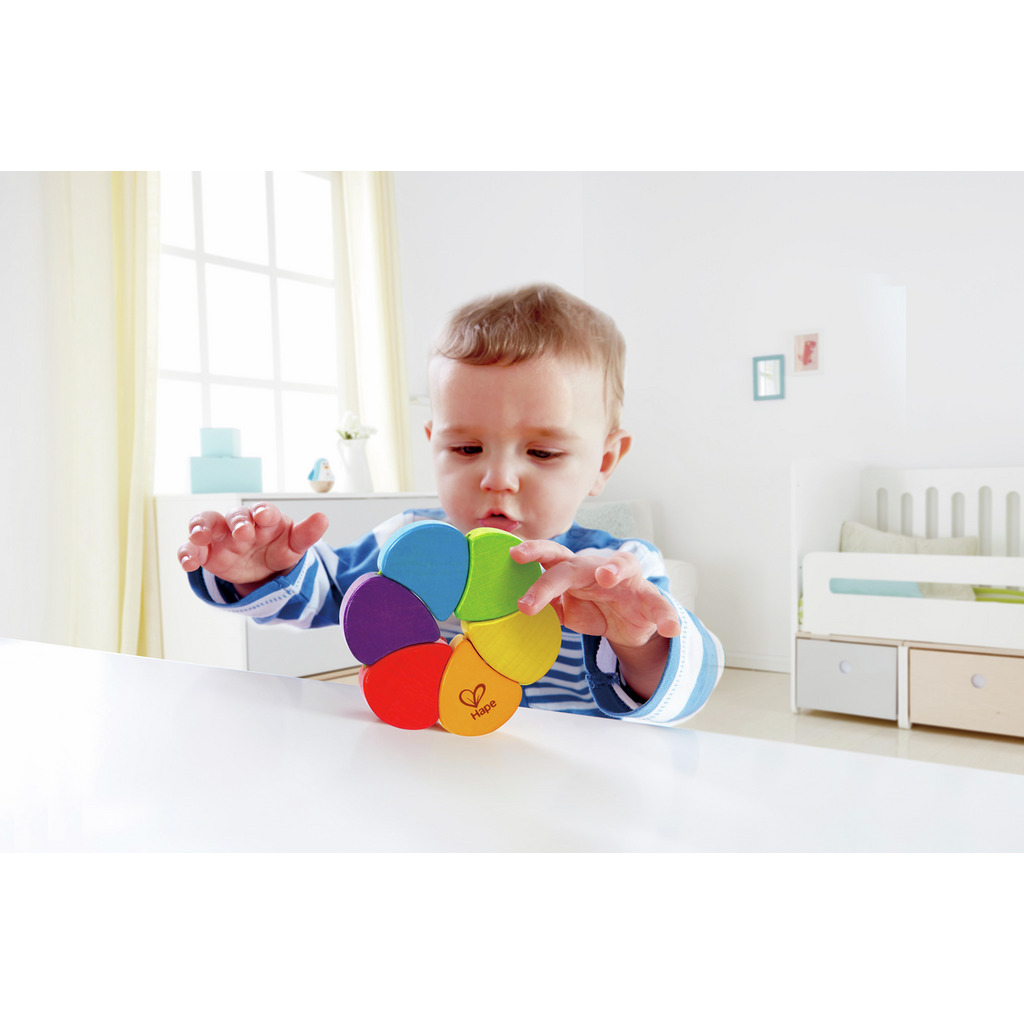 Rainbow Rattle Display (6 pcs.)