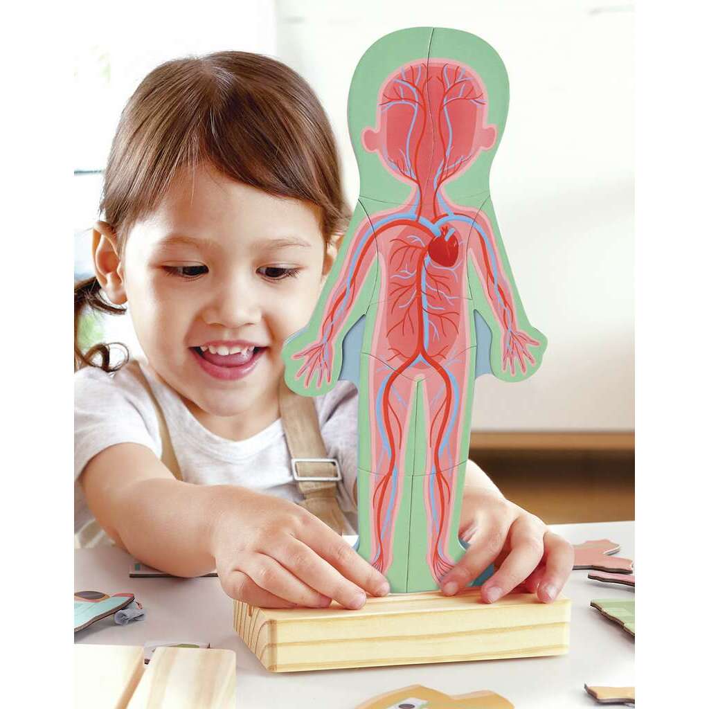 Human Body Magnetic Puzzle Human Body Magnetic Puzzle