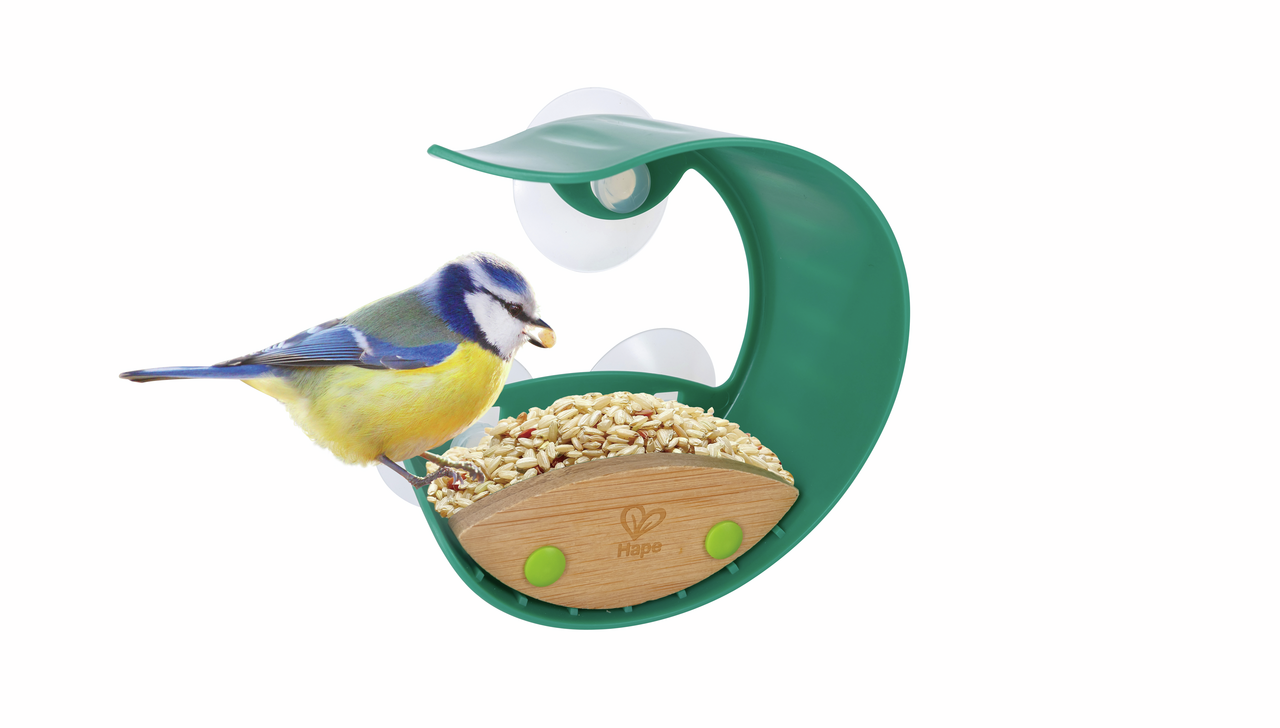 Window Bird Feeder Window Bird Feeder