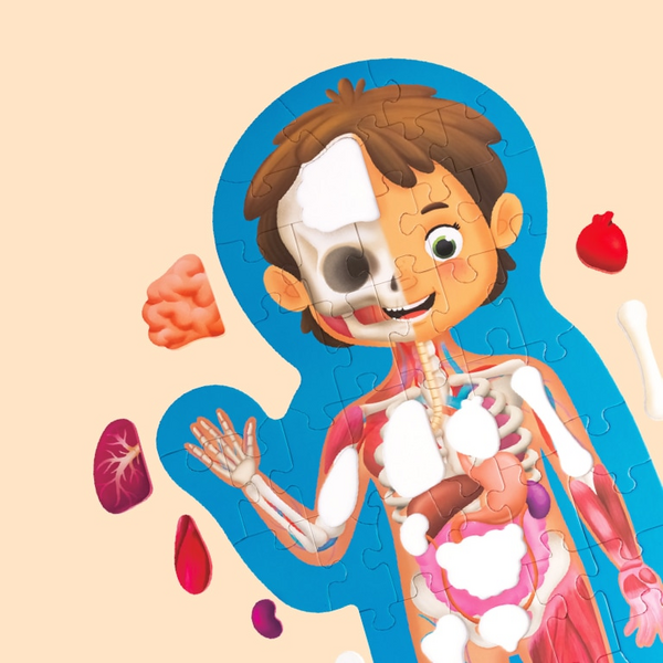 Human Body Puzzle