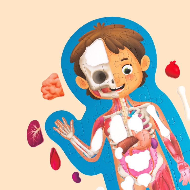 Human Body Puzzle Human Body Puzzle