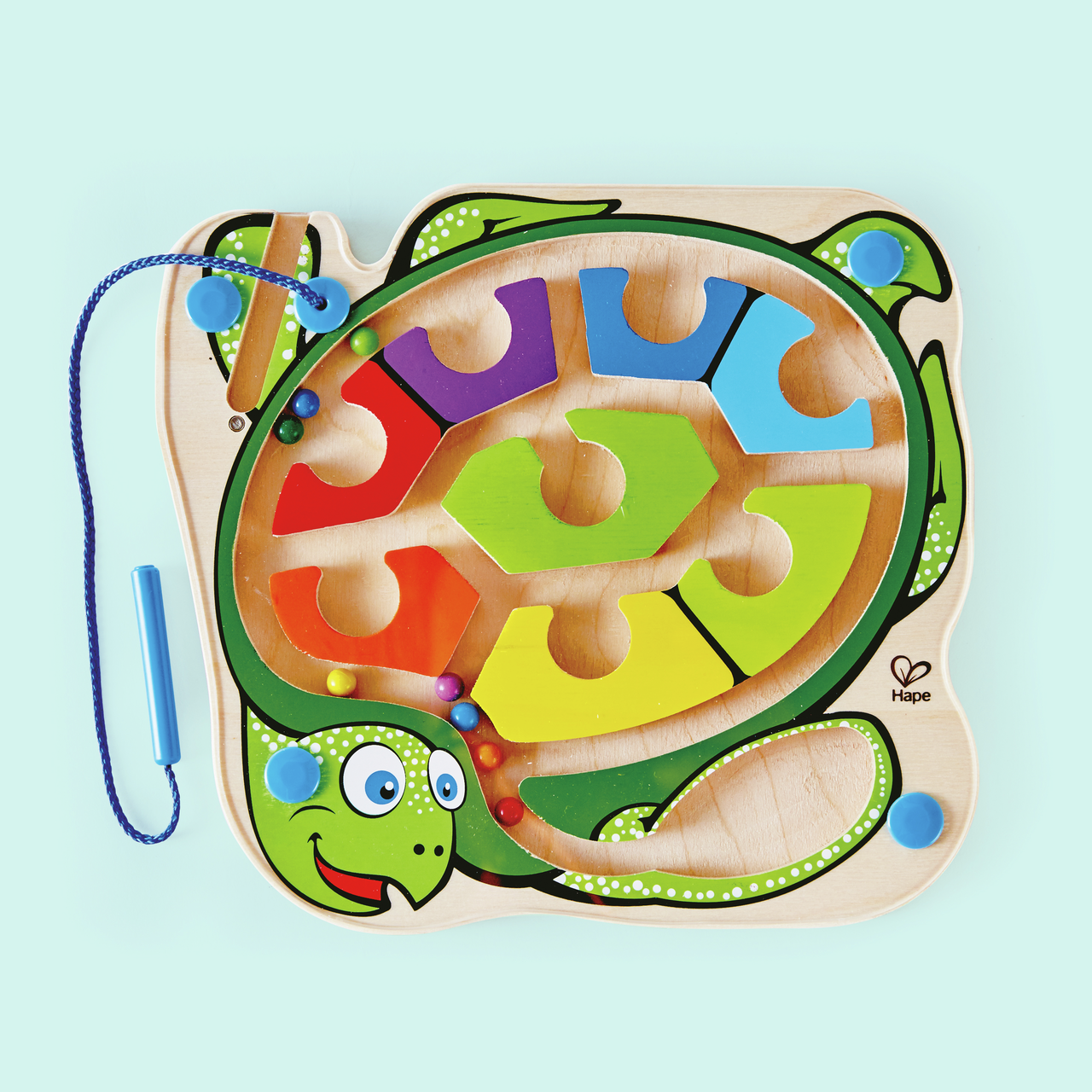 Colorback Sea Turtle⢠Colorback Sea Turtleā¢