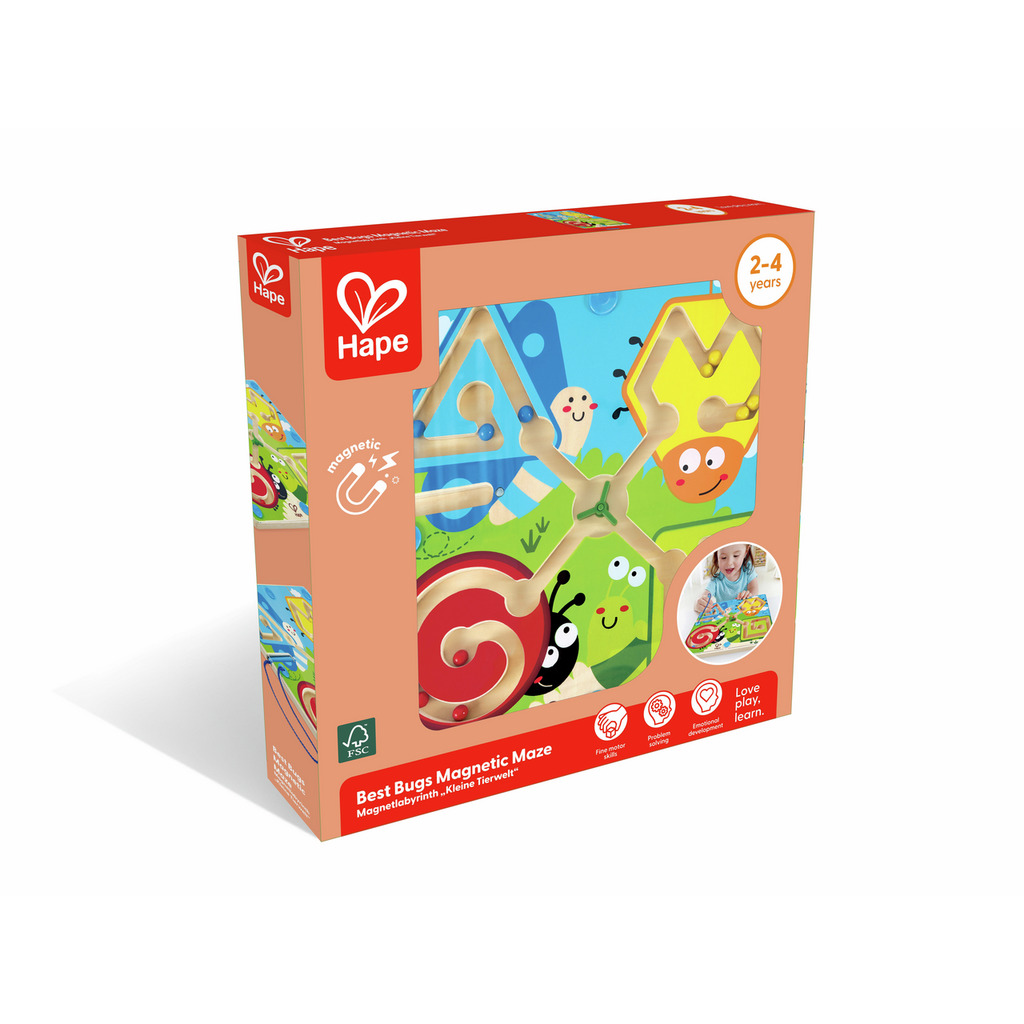 Best Bugs Magnetic Maze