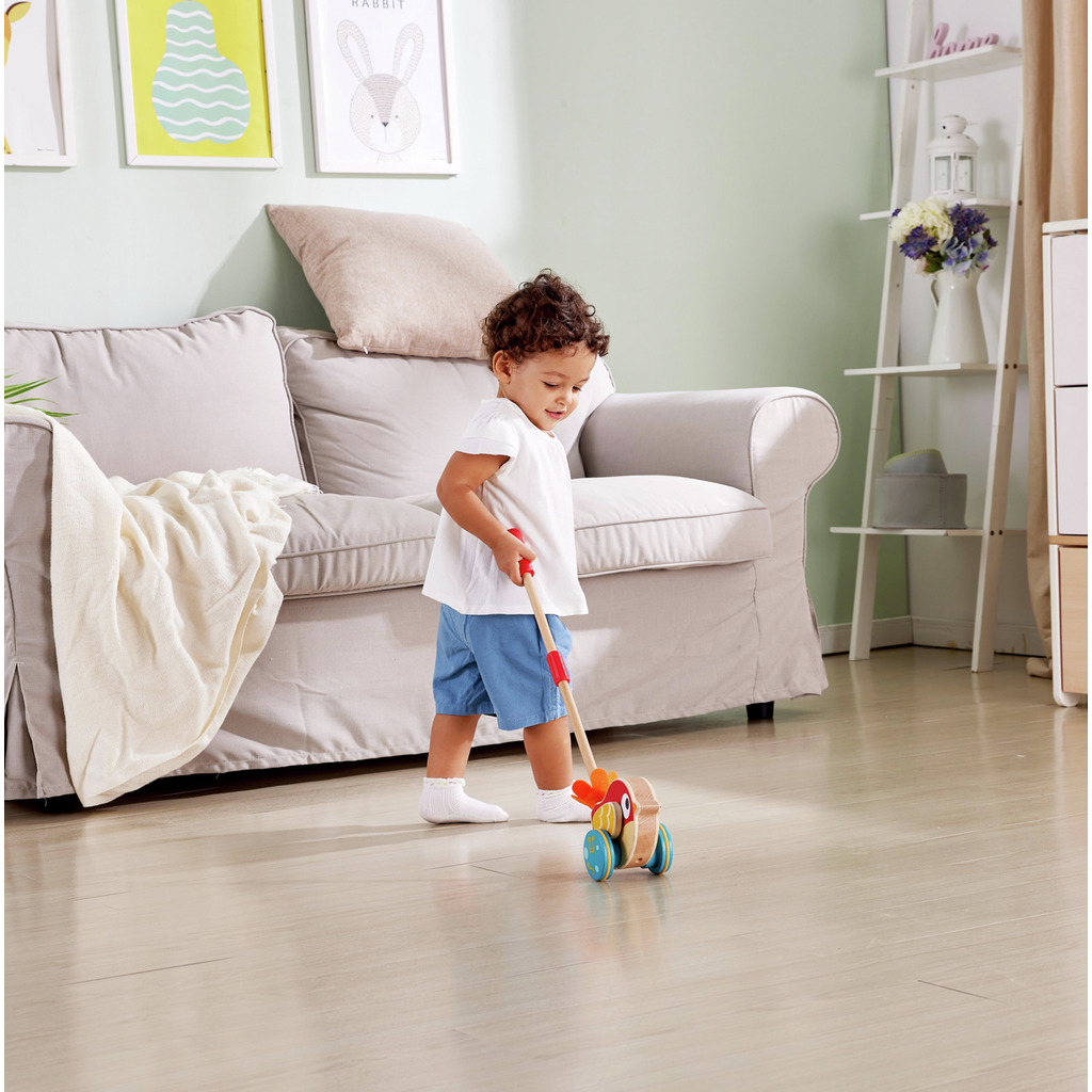 Lilly Musical Push Along Lilly Musical Push Along