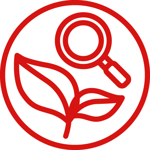 Exploring & Discovery