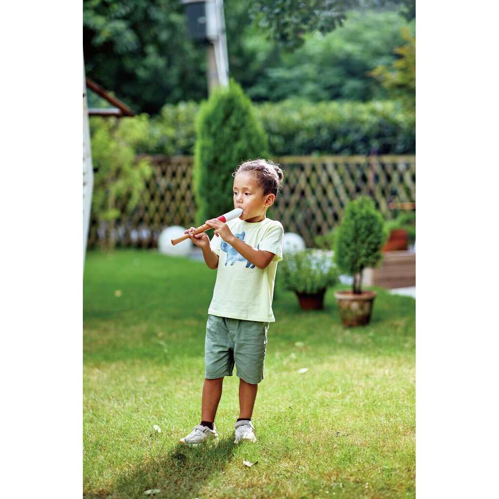 Musician's Starter Recorder Musician's Starter Recorder