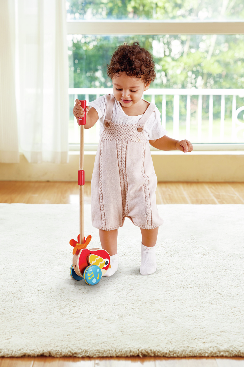 Lilly Musical Push Along