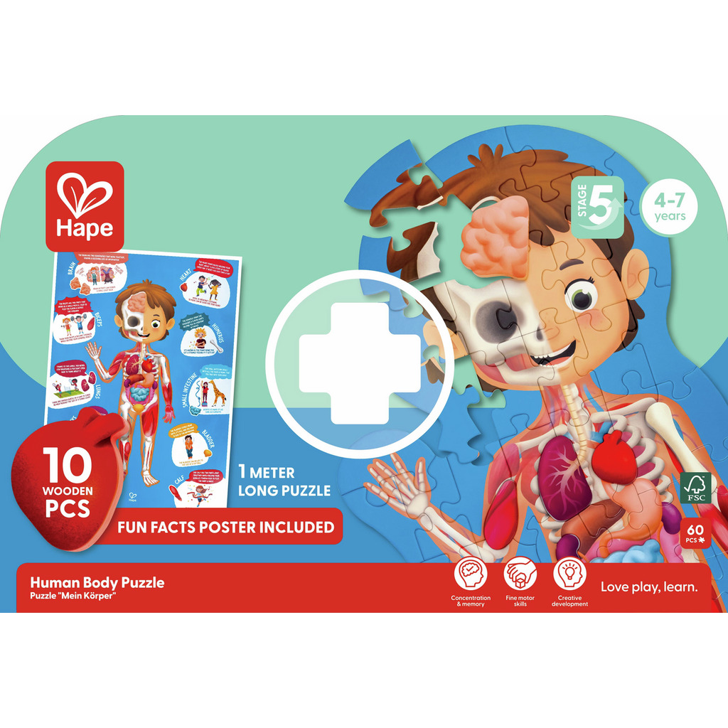 Human Body Puzzle