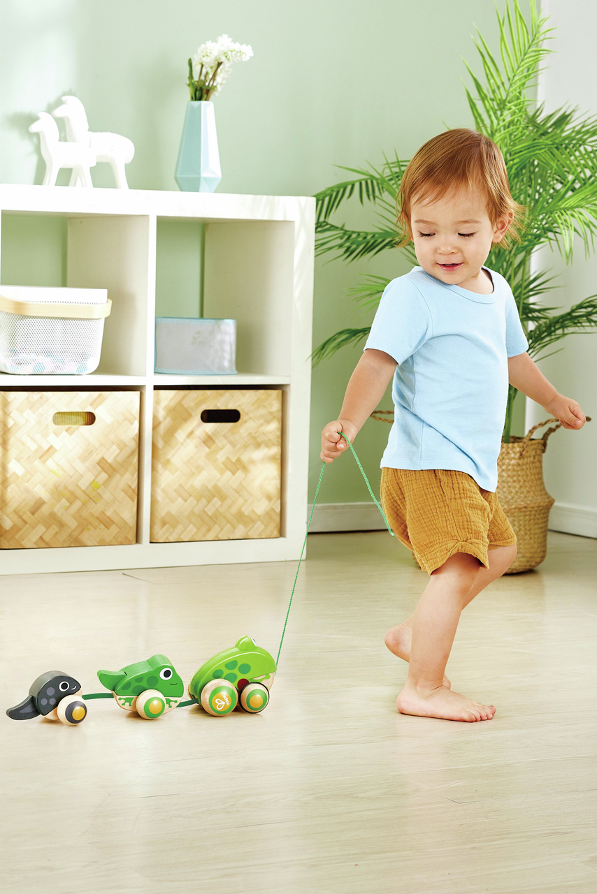 Pull-Along Frog Family Pull-Along Frog Family