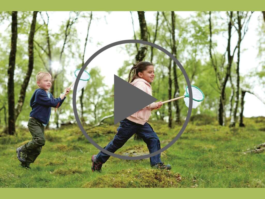 Explorer Net Explorer Net