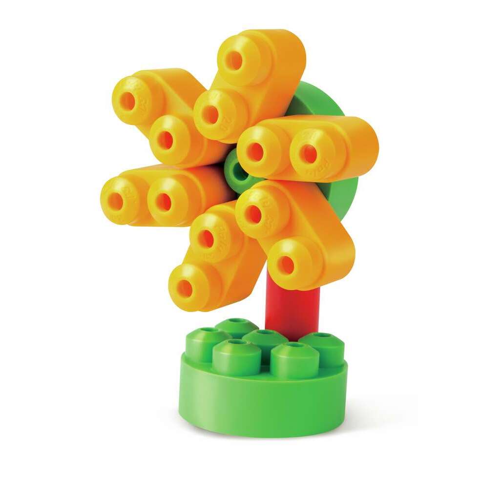 Birds ’n’ Beasts Birds ’n’ Beasts