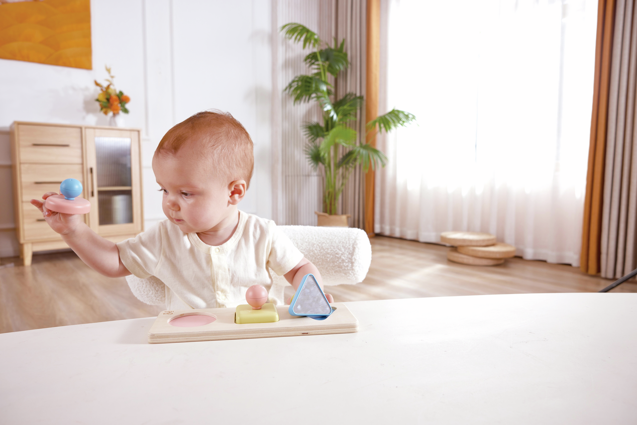 Montessori Mirror Shape Puzzle