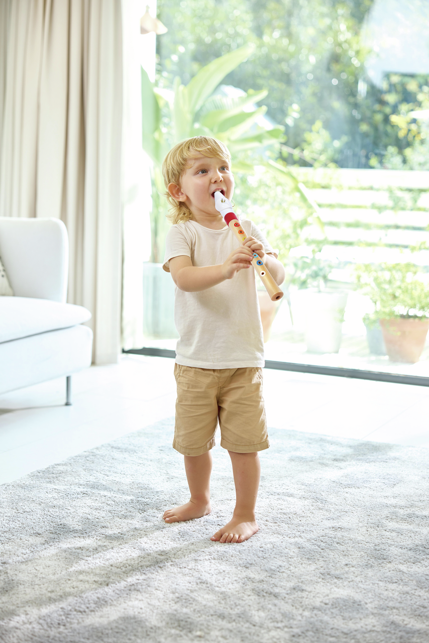 Musician's Starter Recorder Musician's Starter Recorder